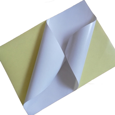 Feuille de papier moulée SS0111 d'autocollant enduit avec la colle adhésive forte superbe