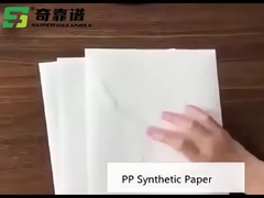 Matériau d'étiquette adhésif de papier synthétique mat PP